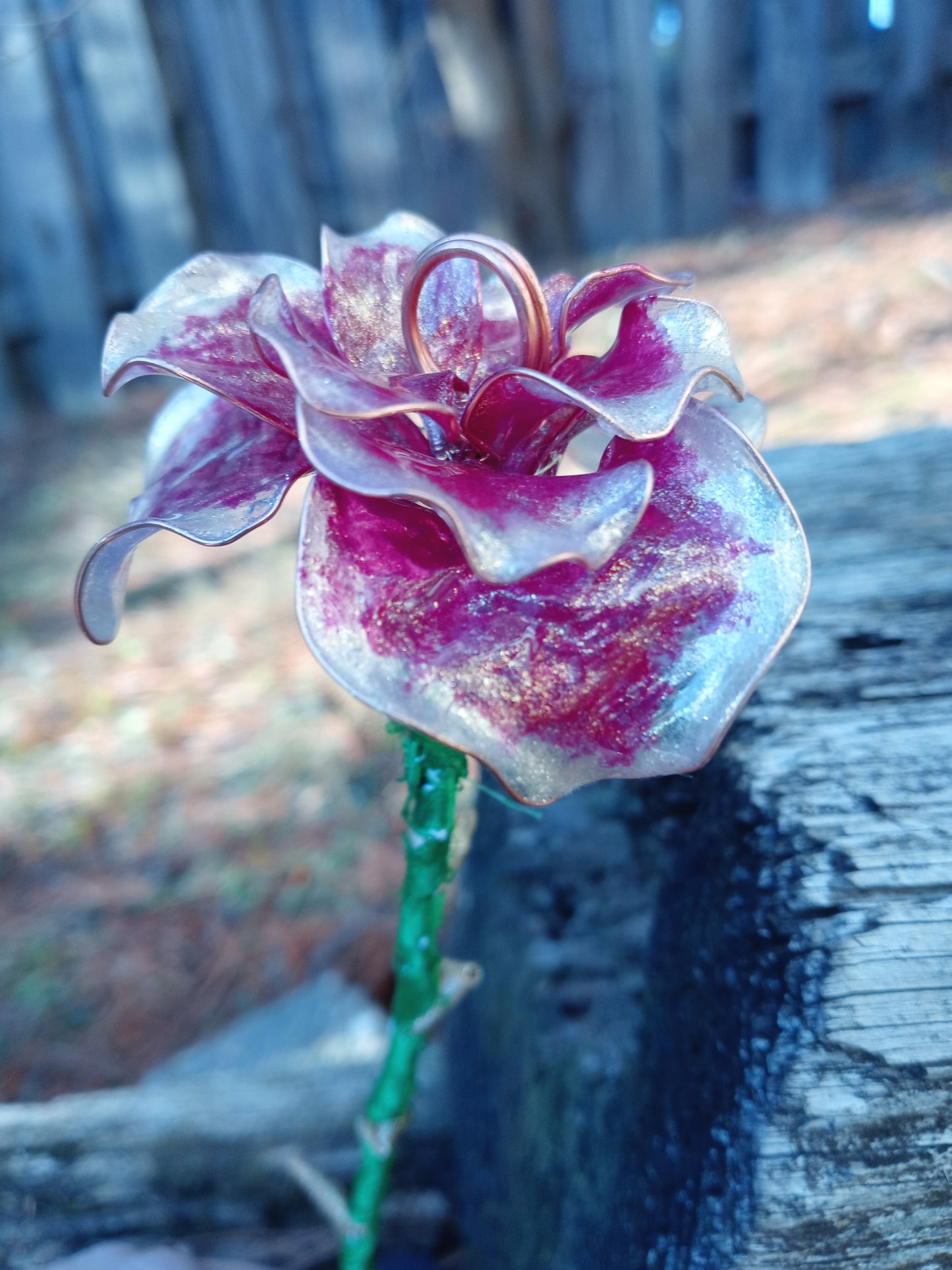 Memorial Rose image 3