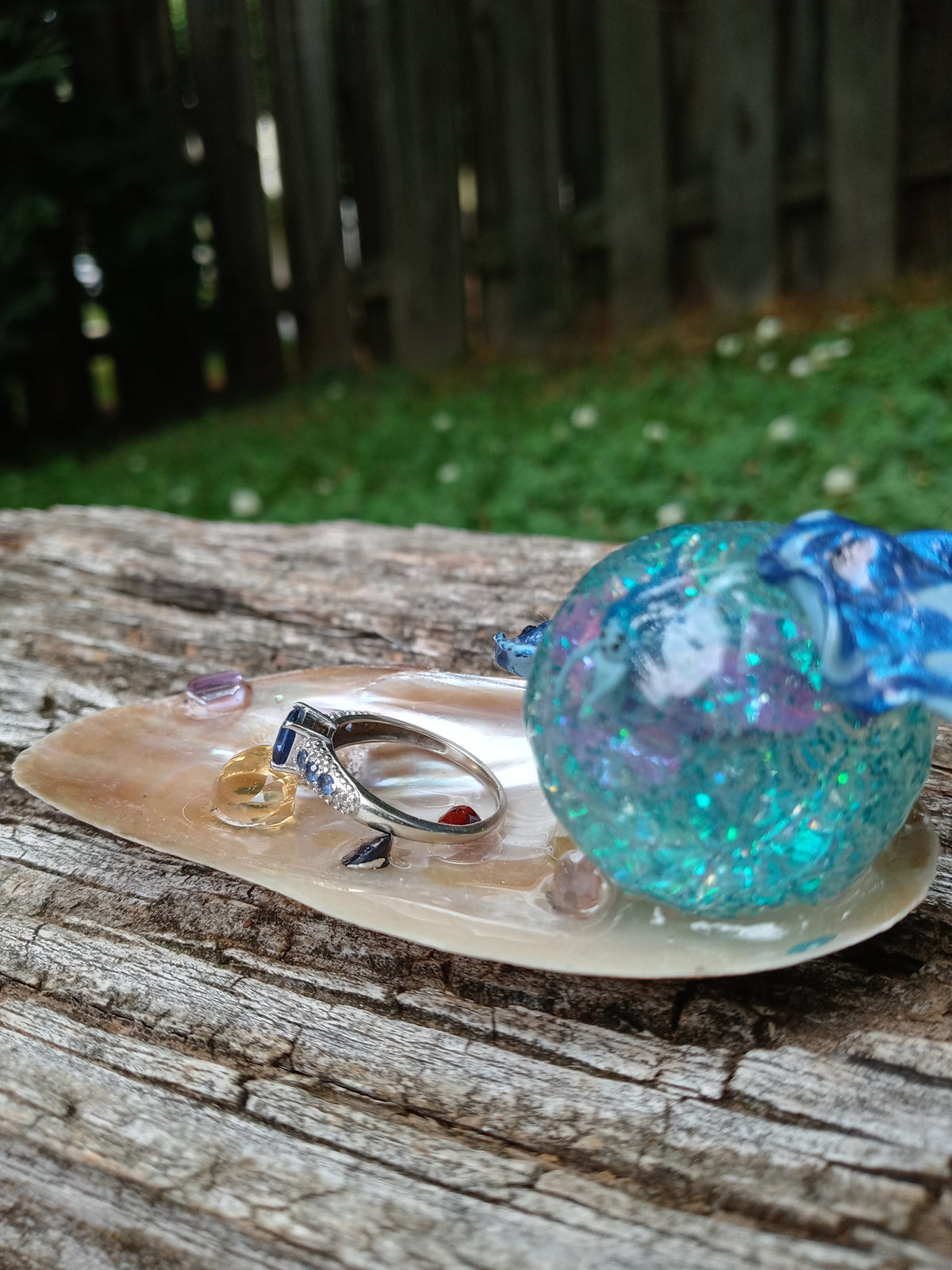 Sea-ing the World Through a Bubble image 3