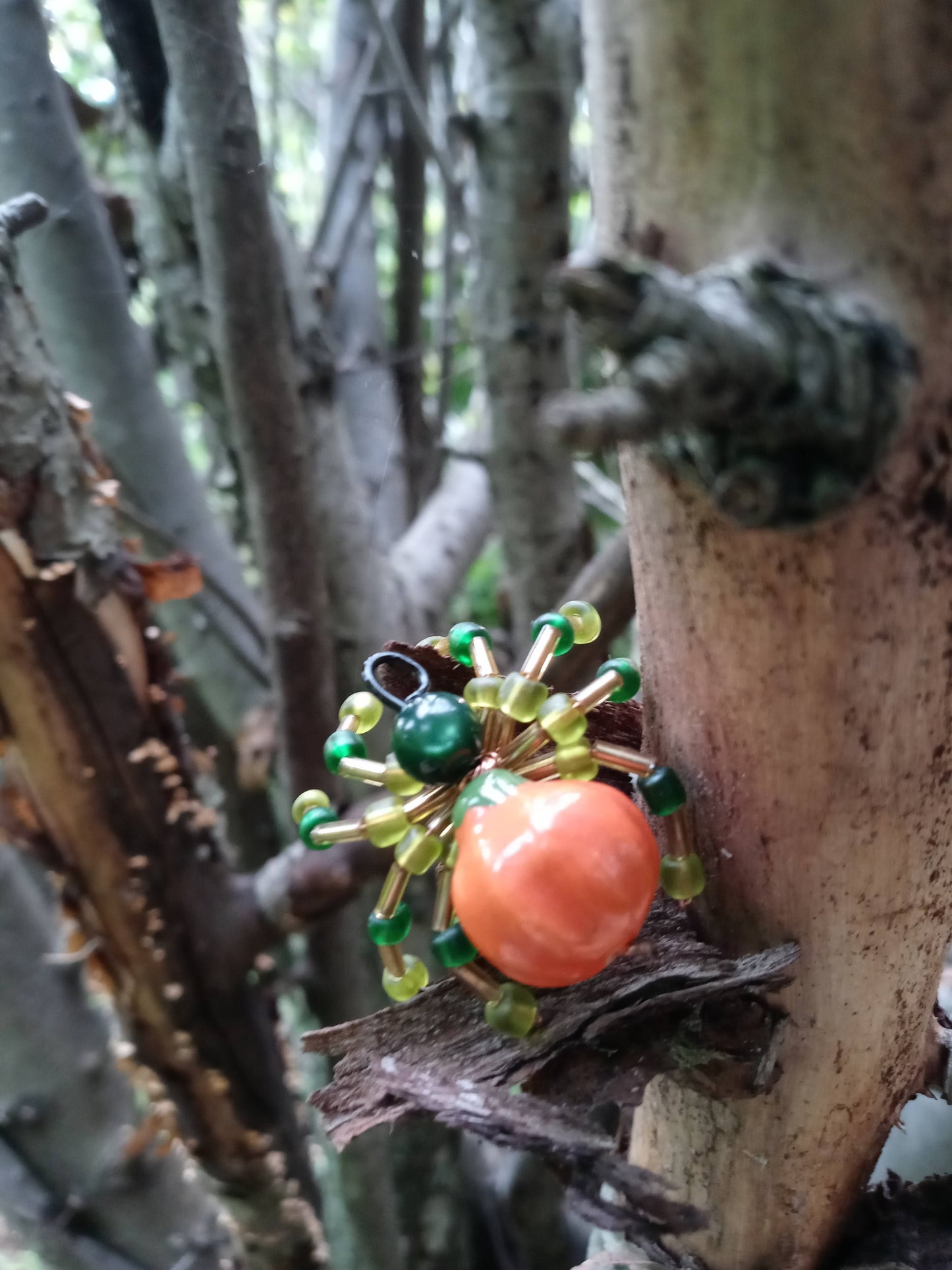 Pumpkin Spider image 9