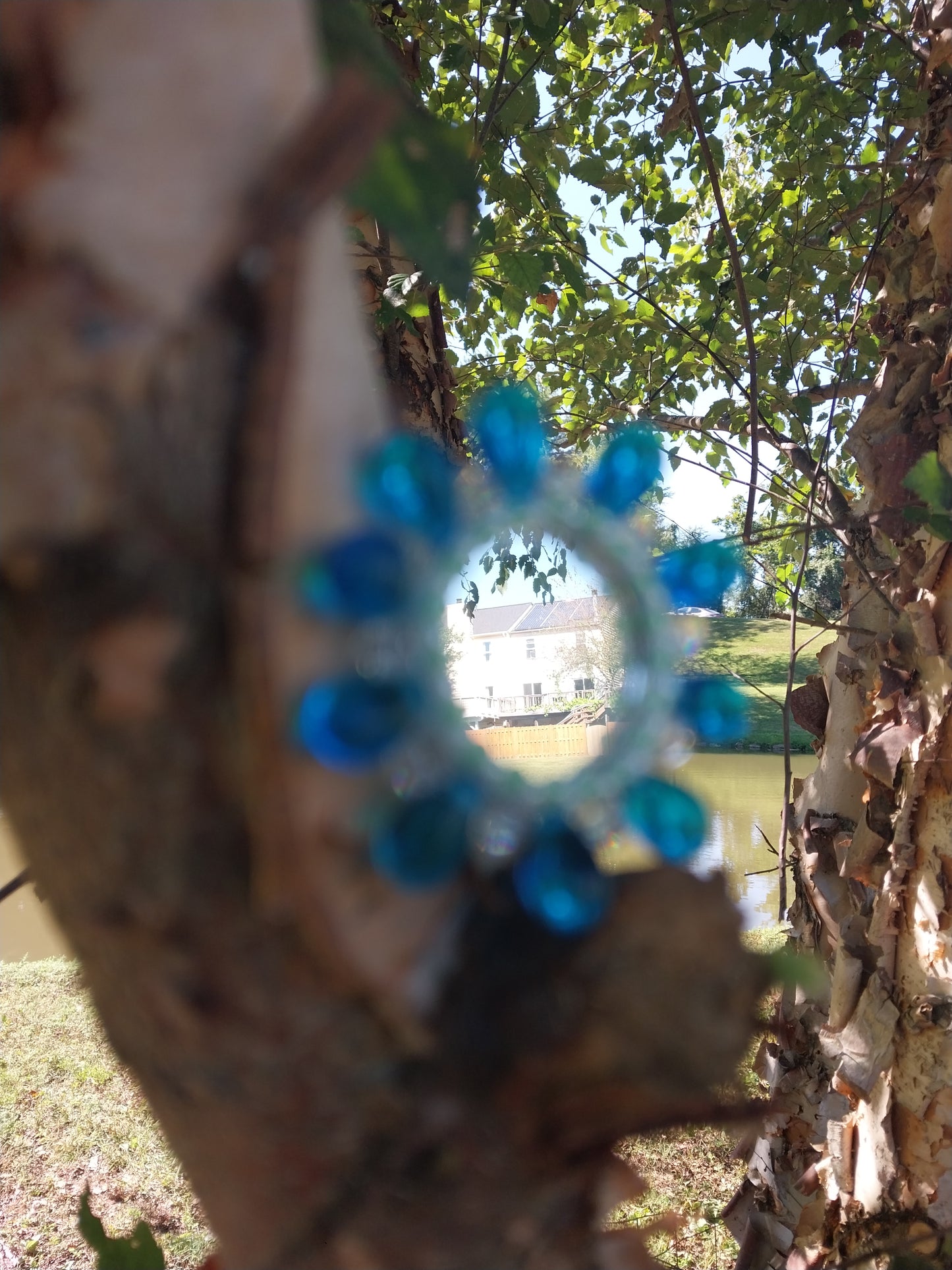 Reflective Beauty Stud Earrings