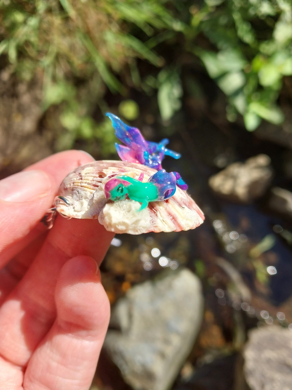 Ocean Beauty