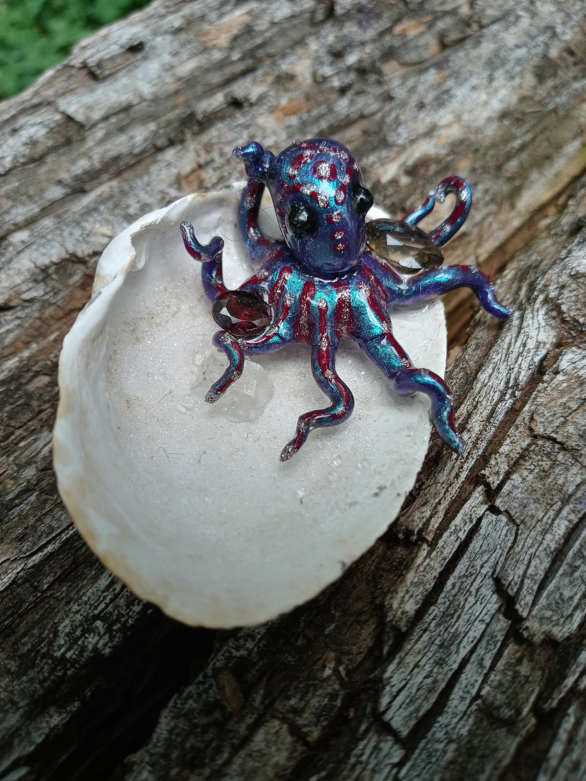 Verrucosa image 1
