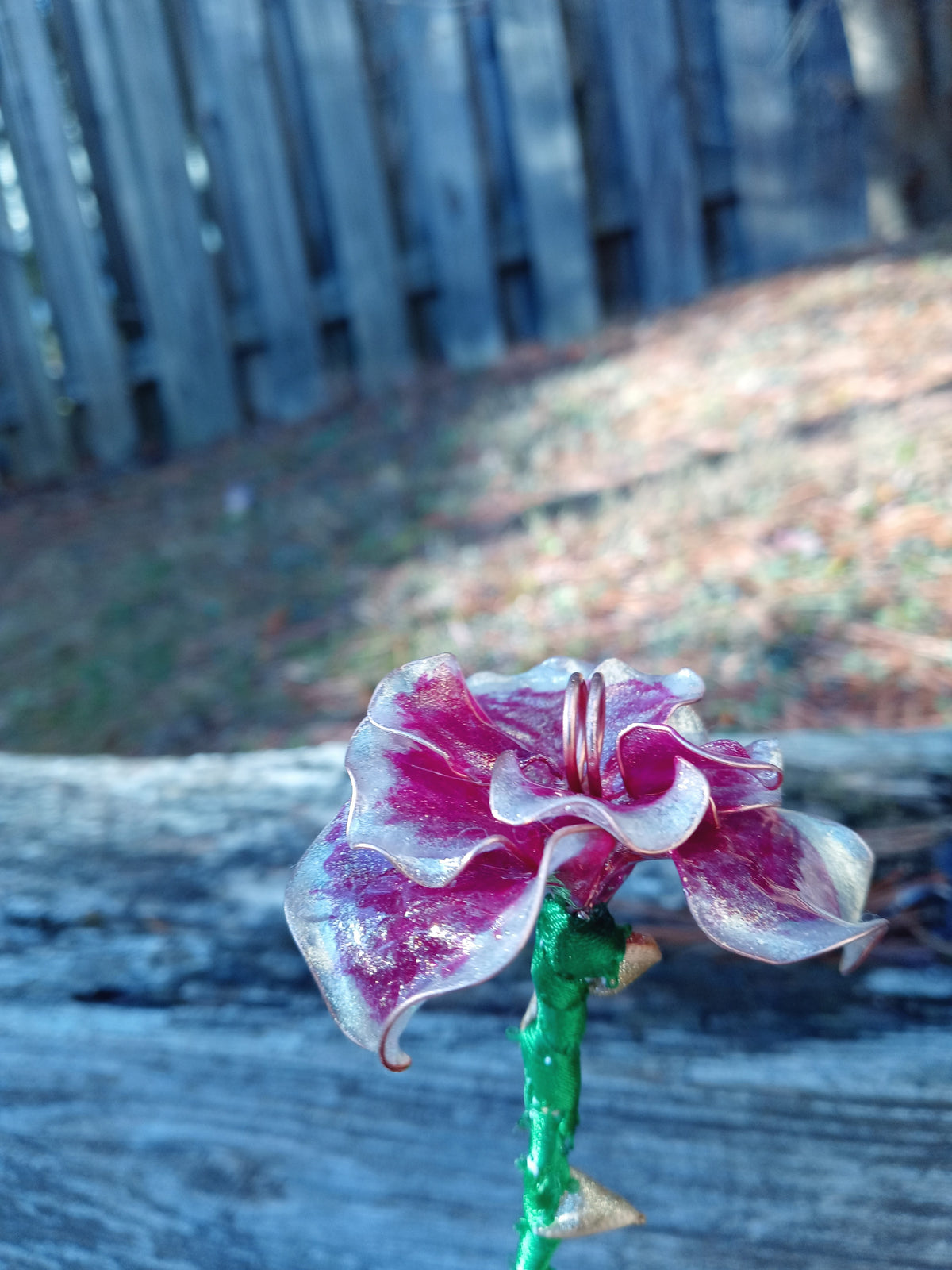 Memorial Rose image 0