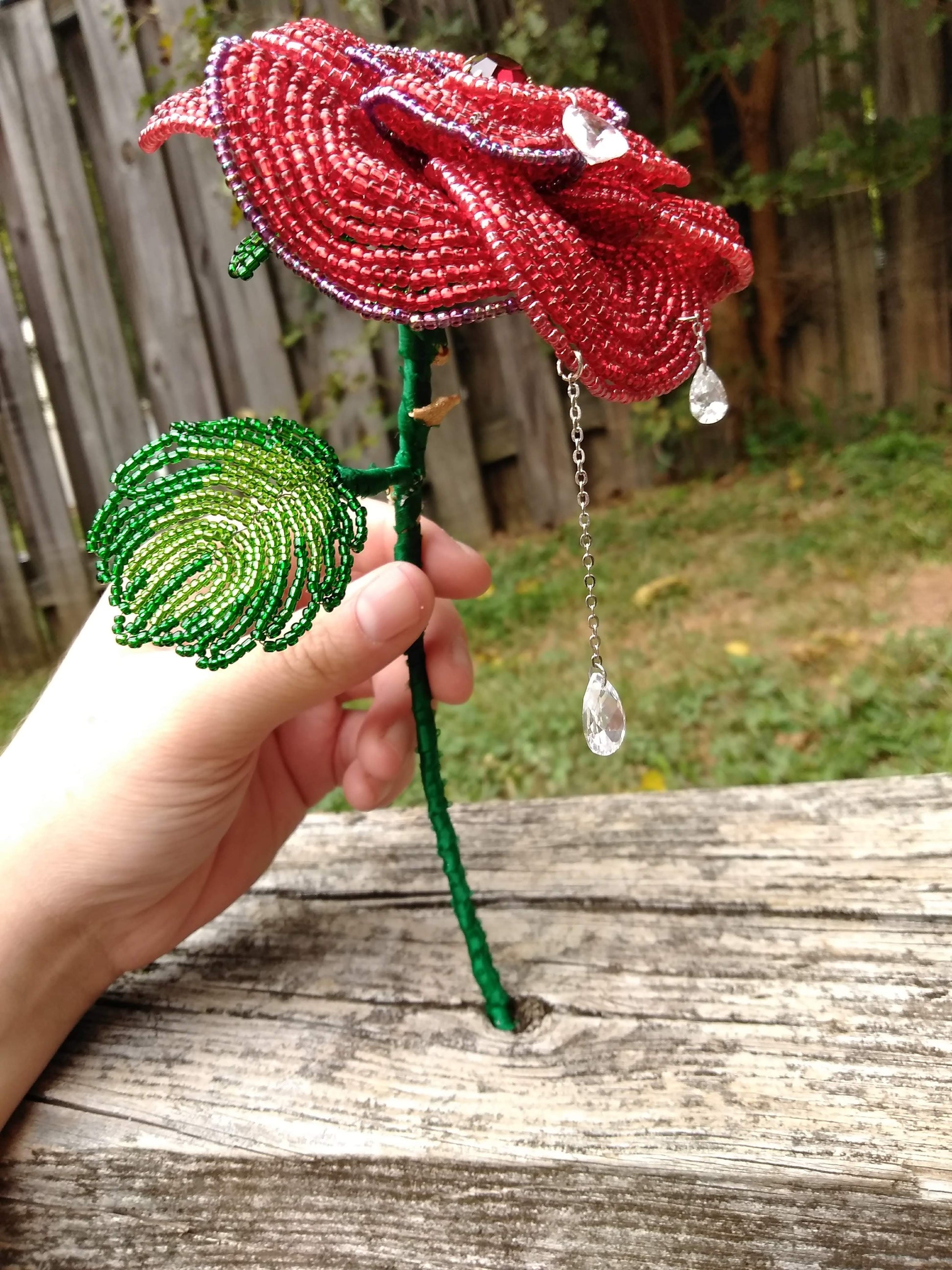 Weeping Rose image 4