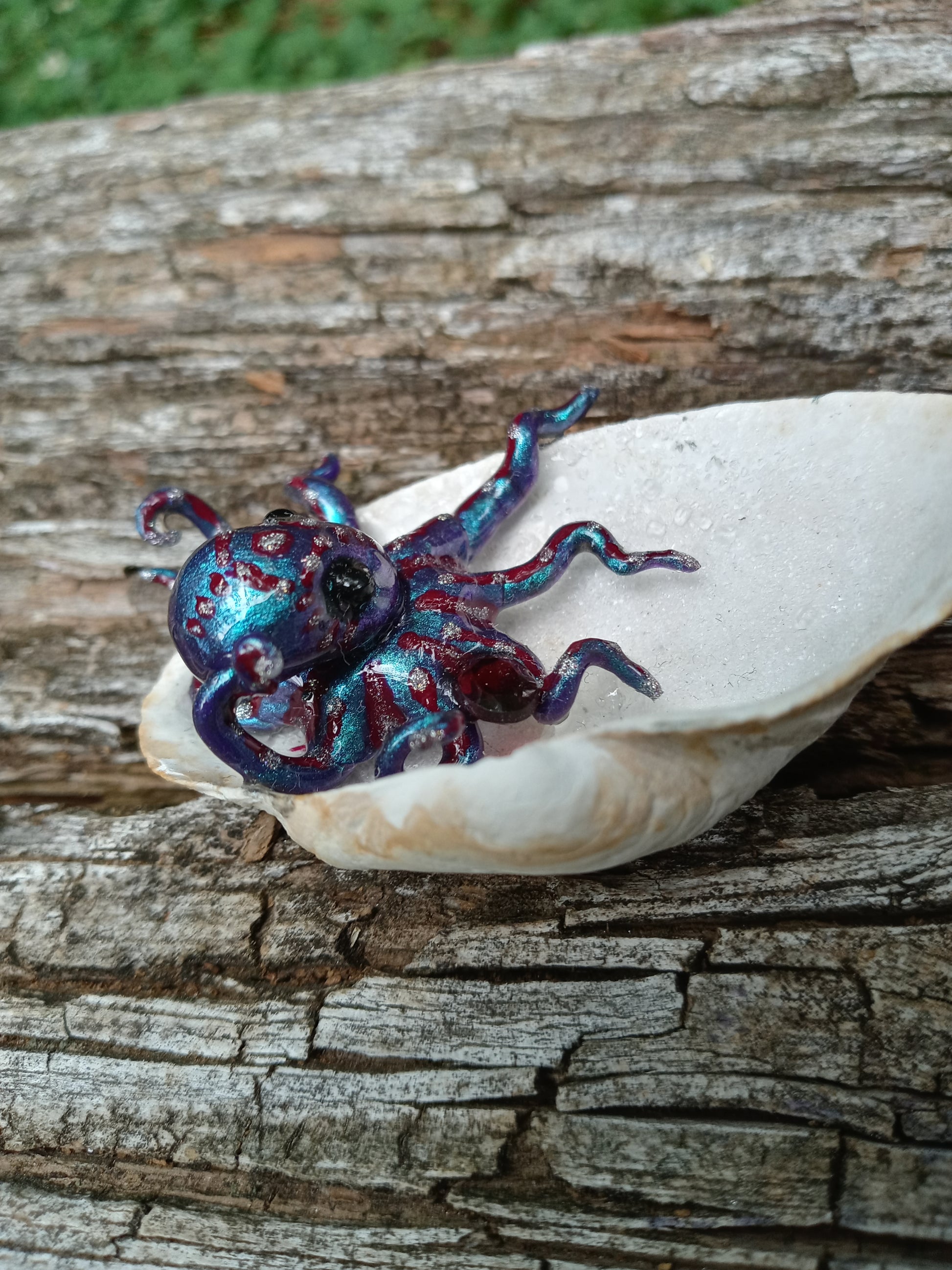 Verrucosa image 5