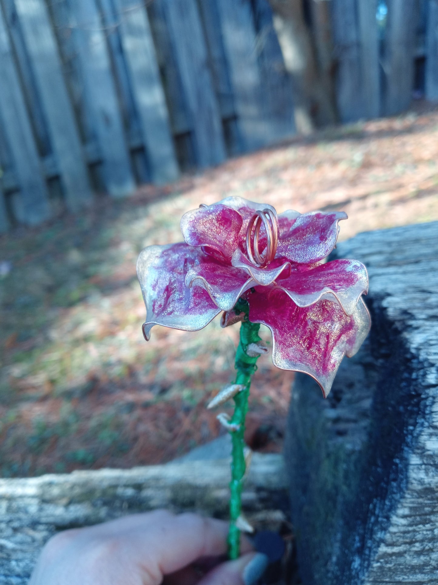 Memorial Rose image 2