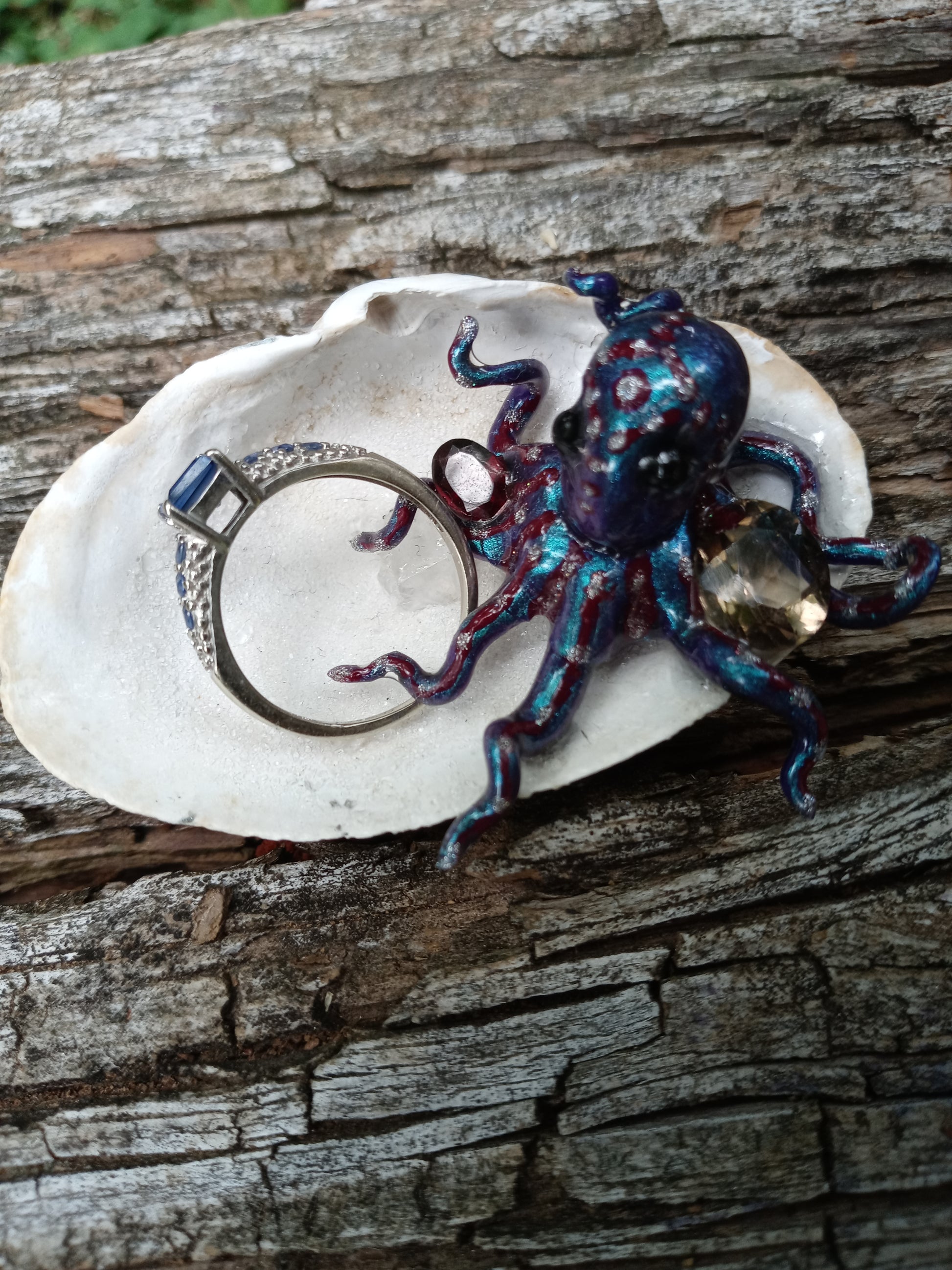 Verrucosa image 2