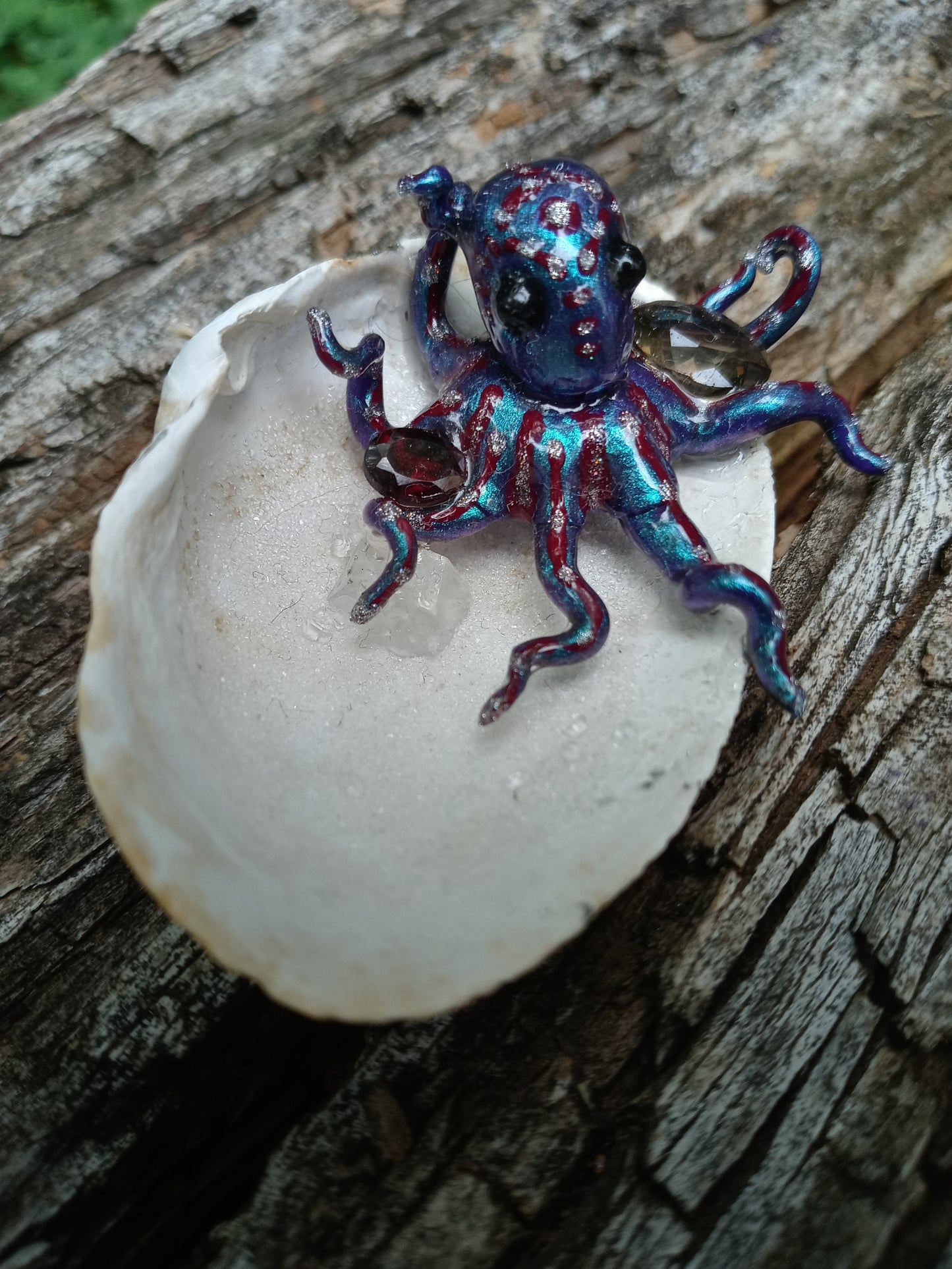Verrucosa image 4