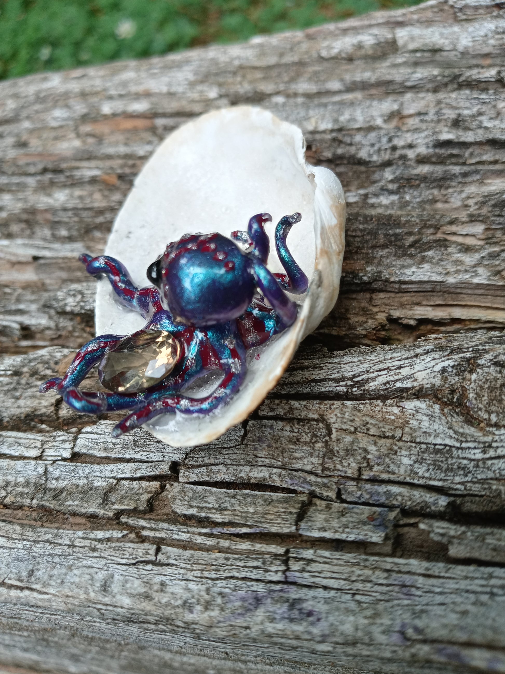 Verrucosa image 3