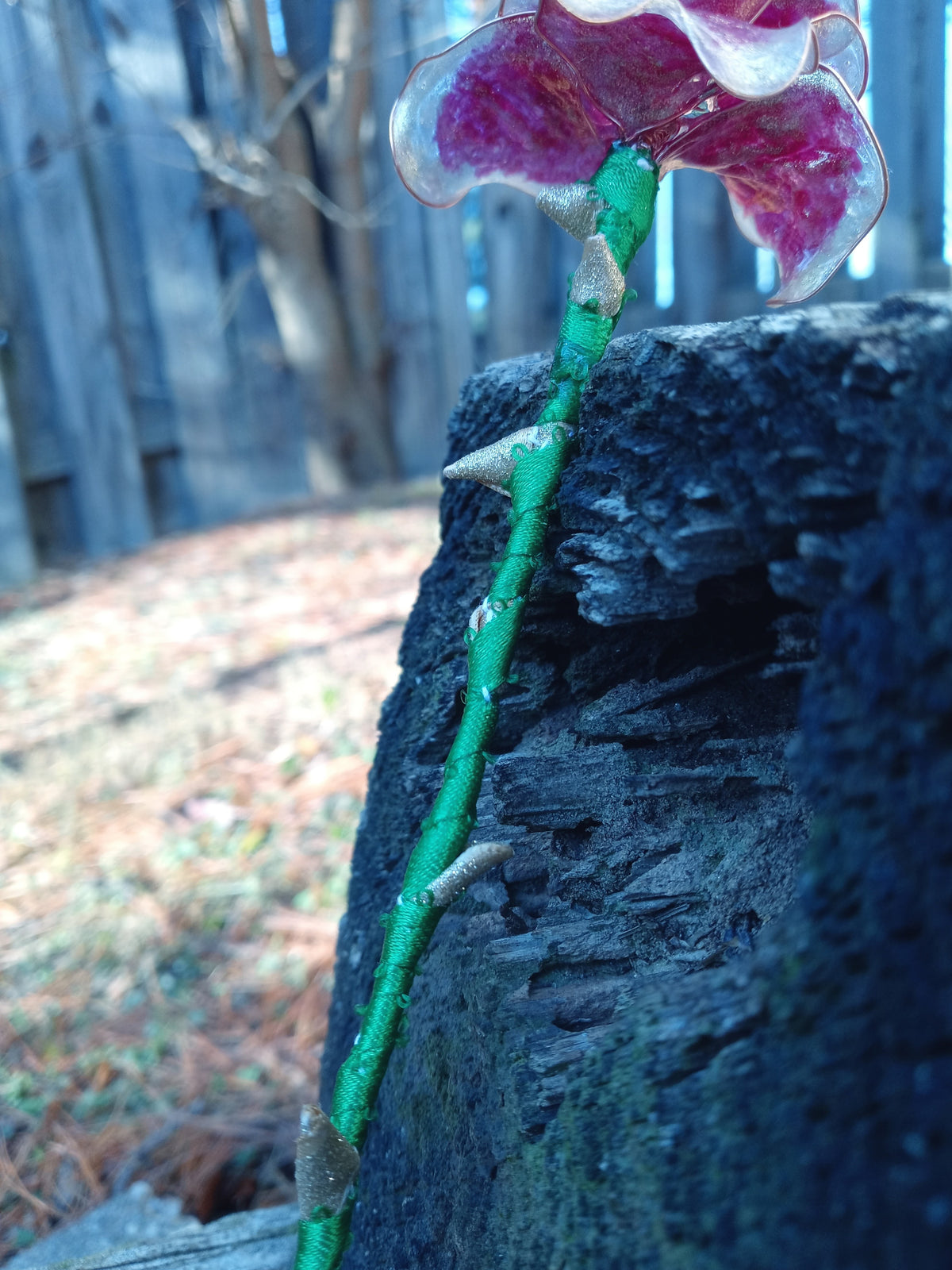 Memorial Rose image 1