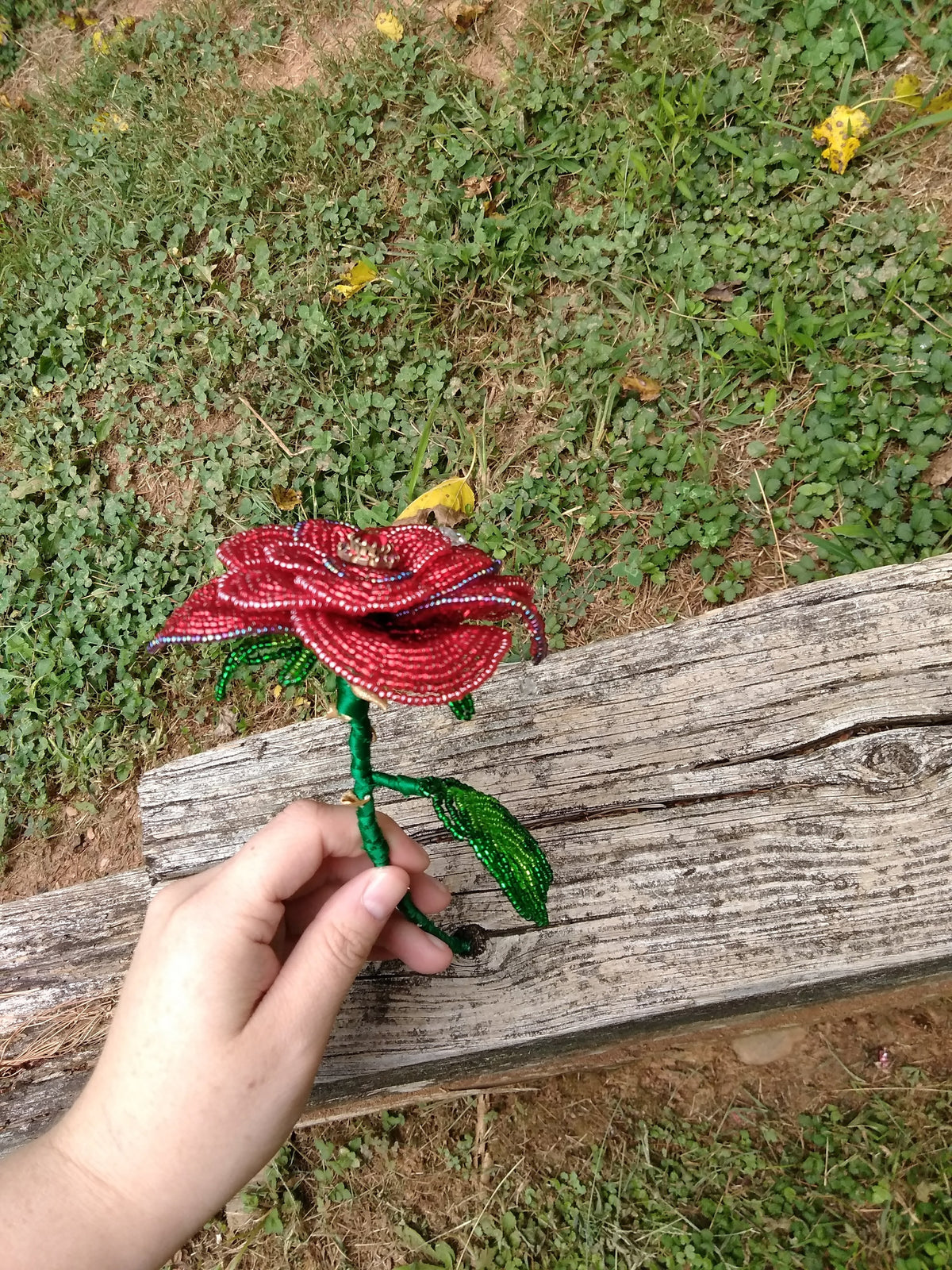 Weeping Rose image 3