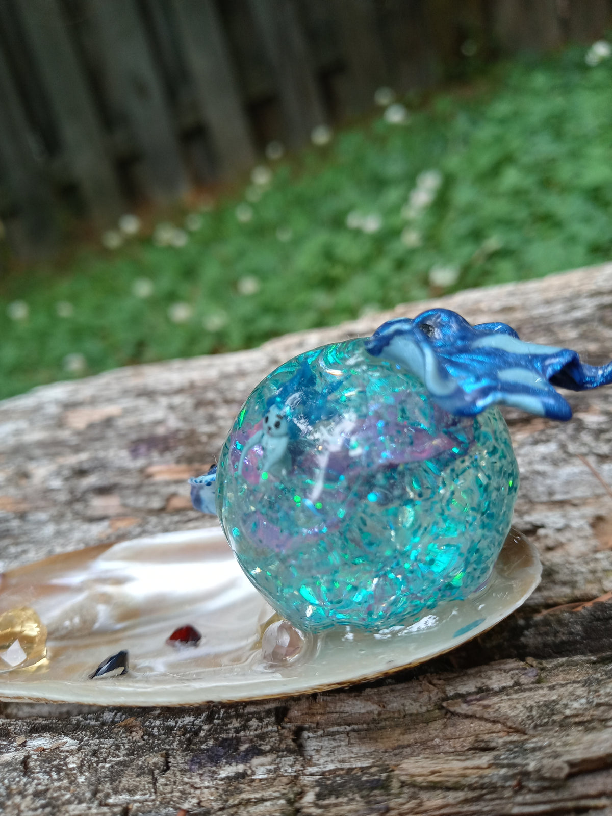 Sea-ing the World Through a Bubble image 1