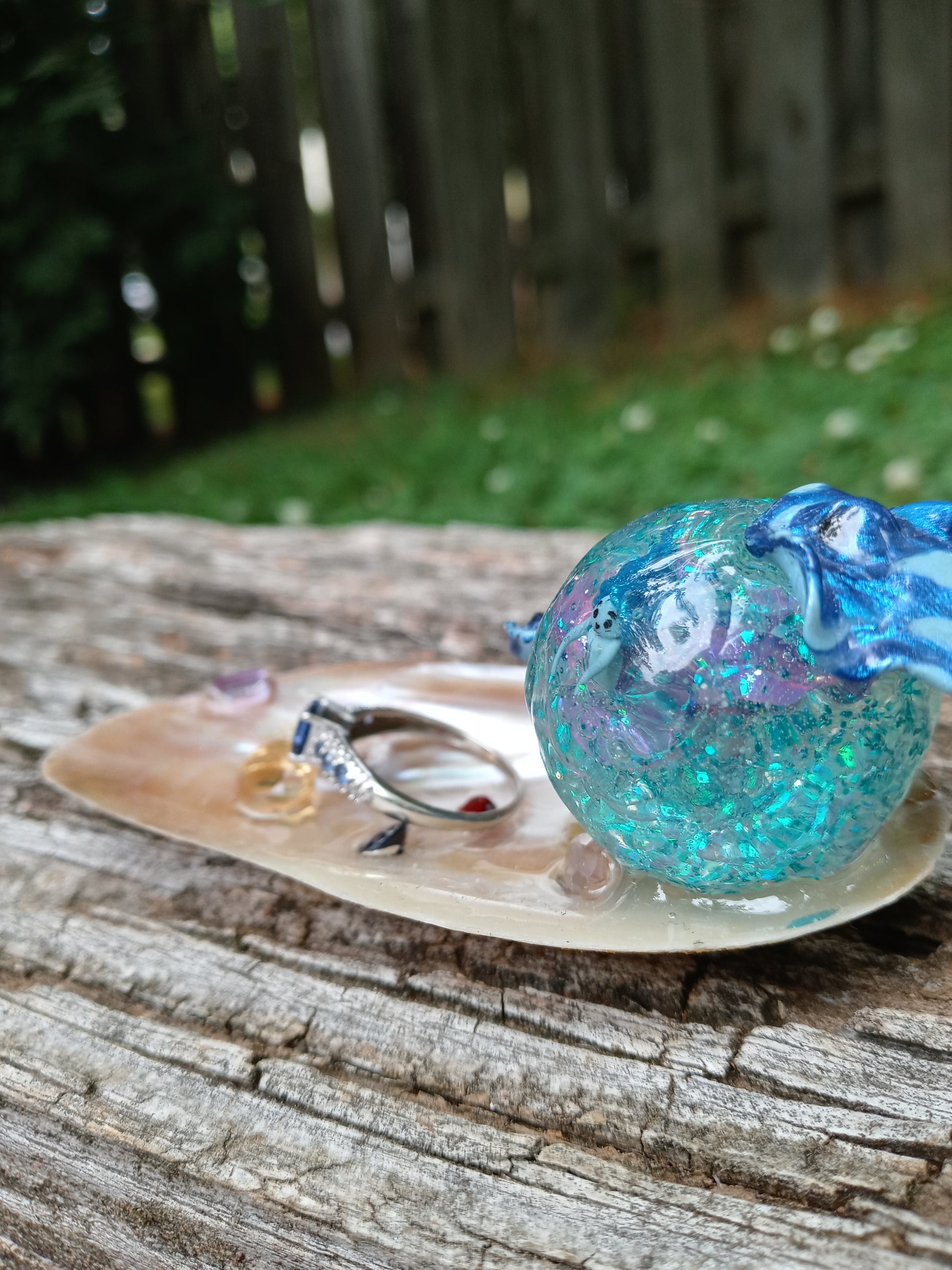 Sea-ing the World Through a Bubble image 6